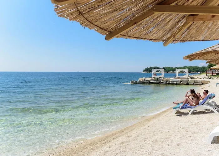 Black Diamond * 브르사르